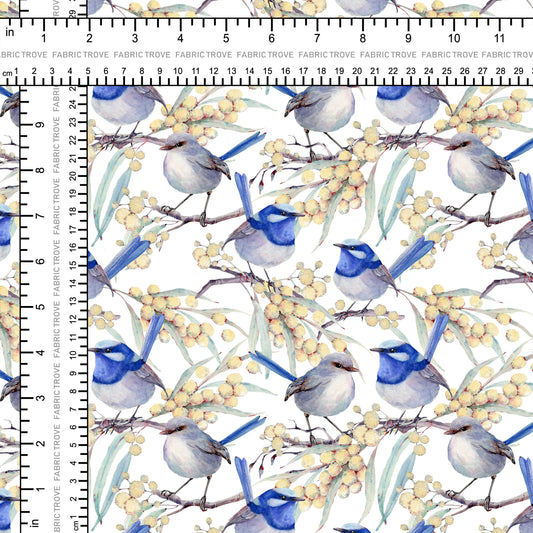 C100 - Blue Wren Dreams White