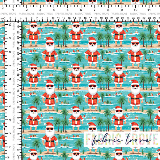 PO #Christmas - Beach Fun Santa