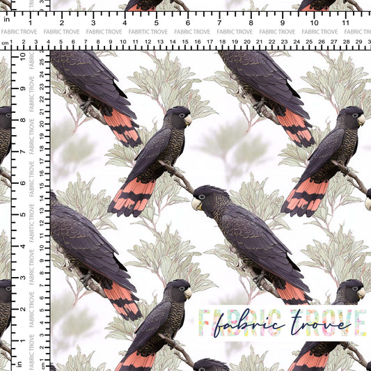 KNIT 95/5 - Black Cockatoo