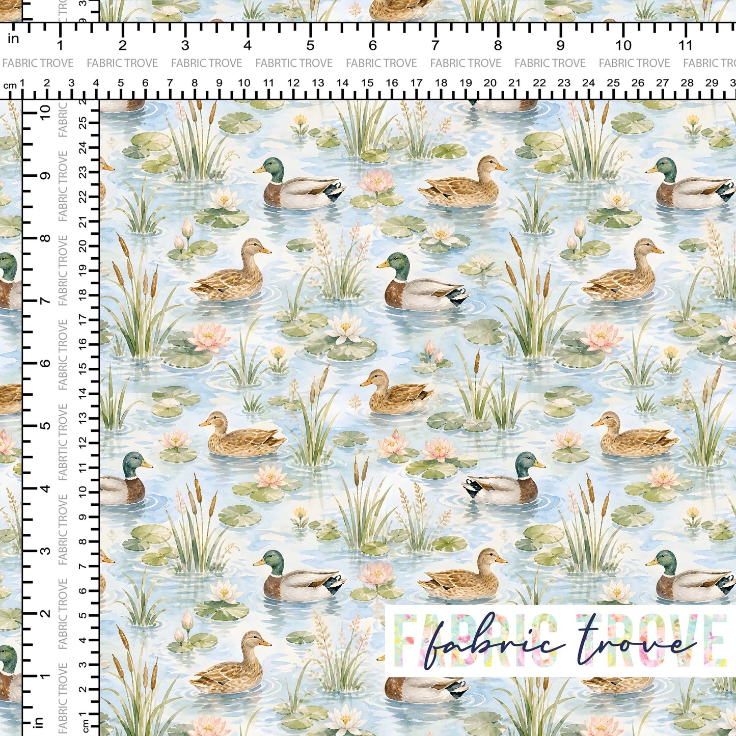 PO #56 - Duck Pond