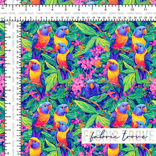 COTTON 100 - Lorakeets