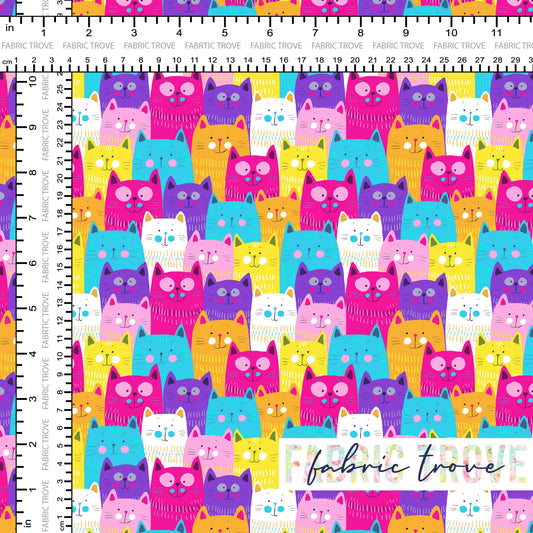 C100 - Rainbow Kitty