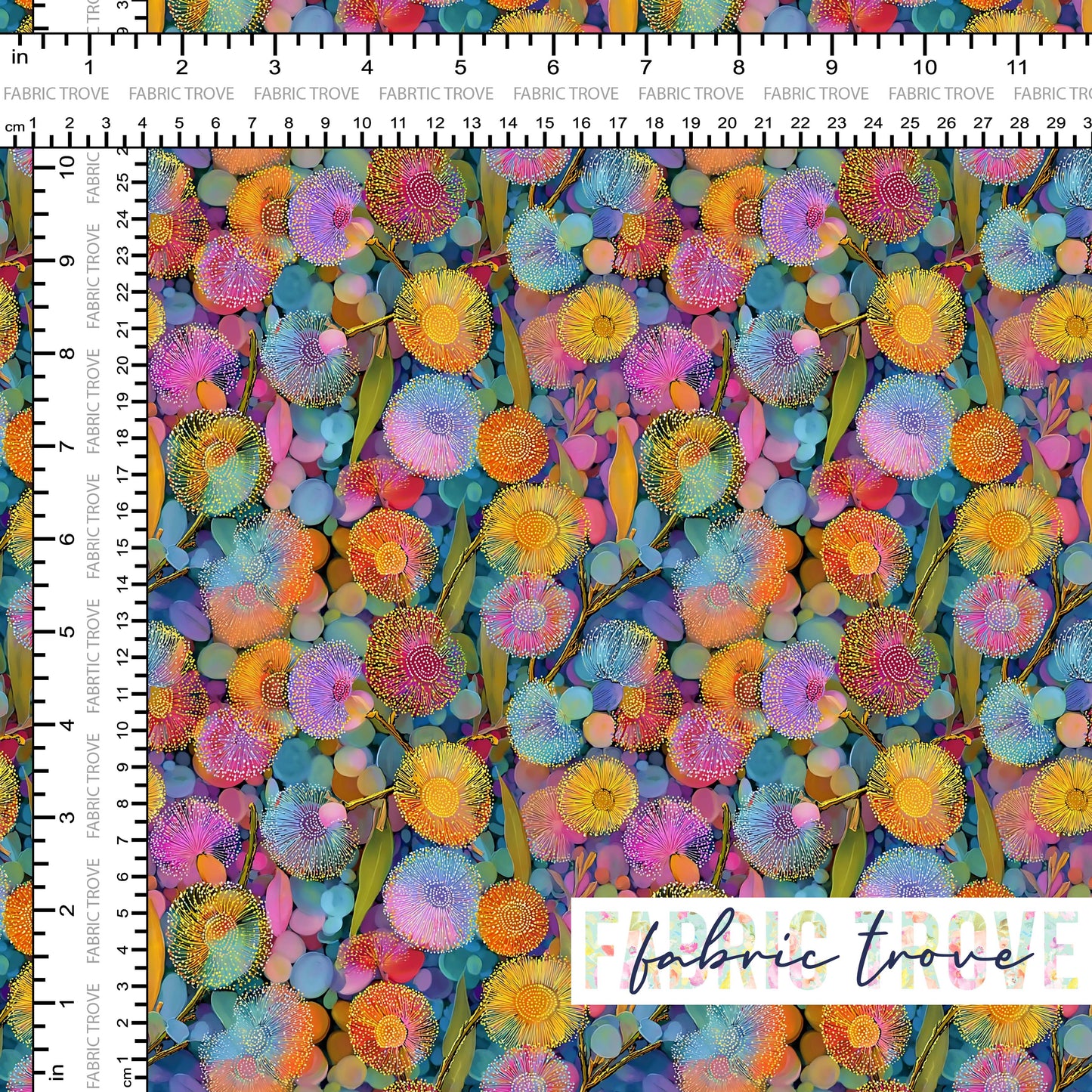 C100 - Rainbow Wattle