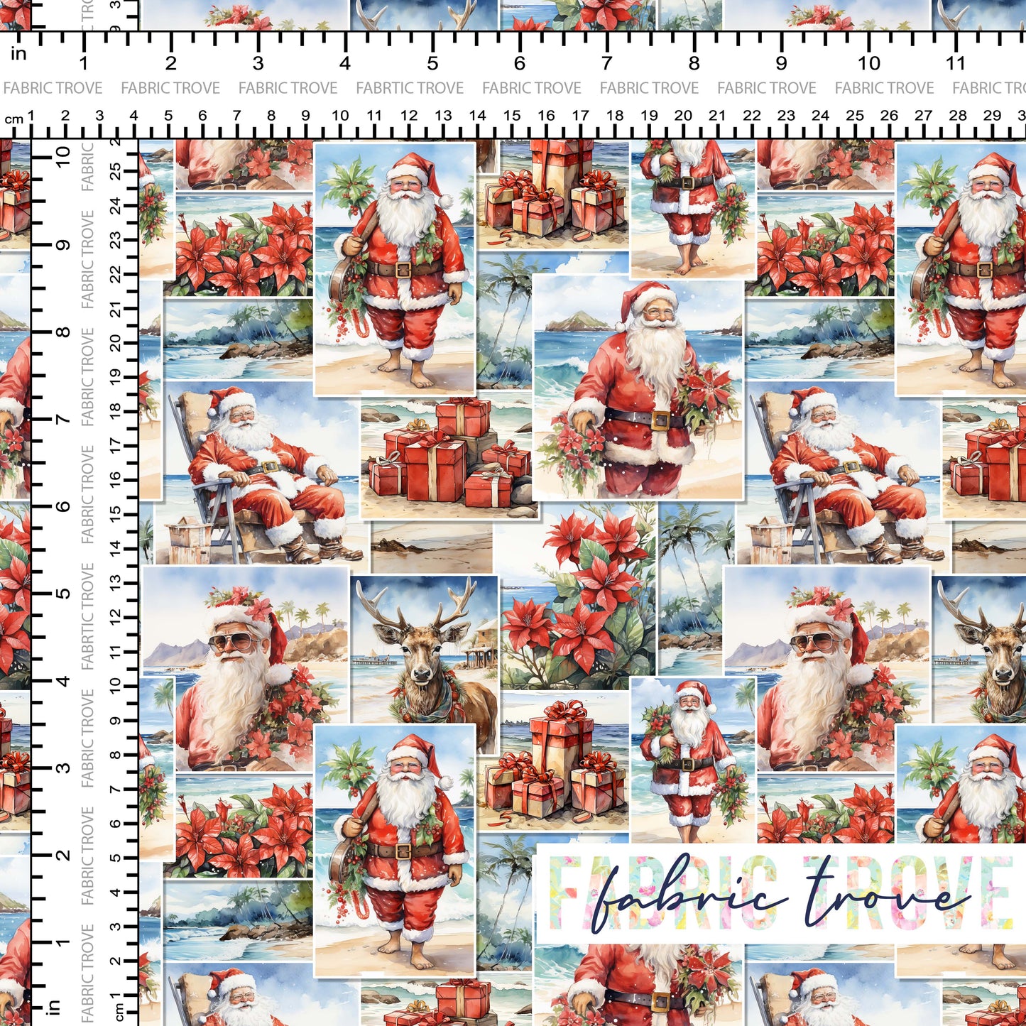 COTTON 100 - Santa Snapshot