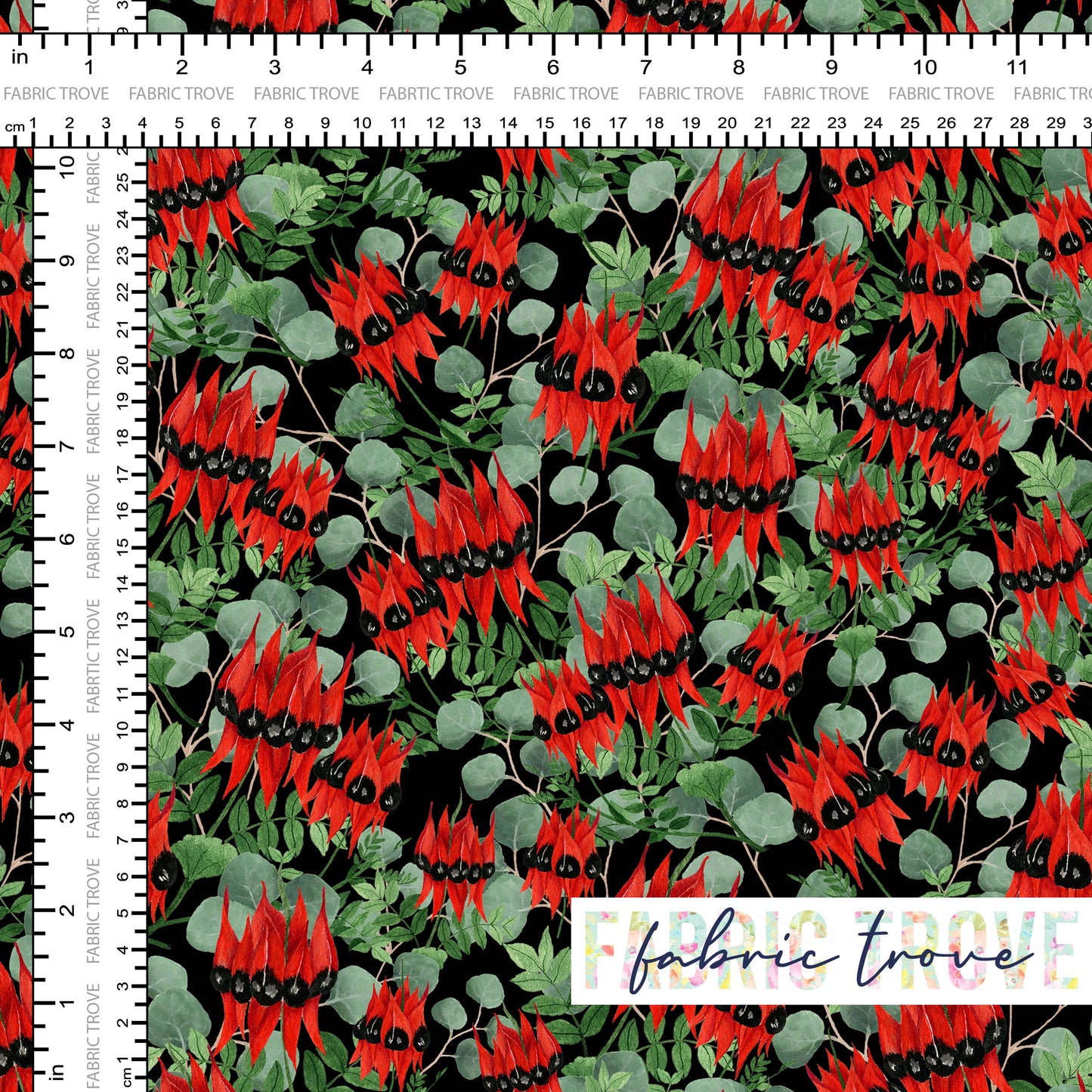 C100 - Sturt Desert Pea Black