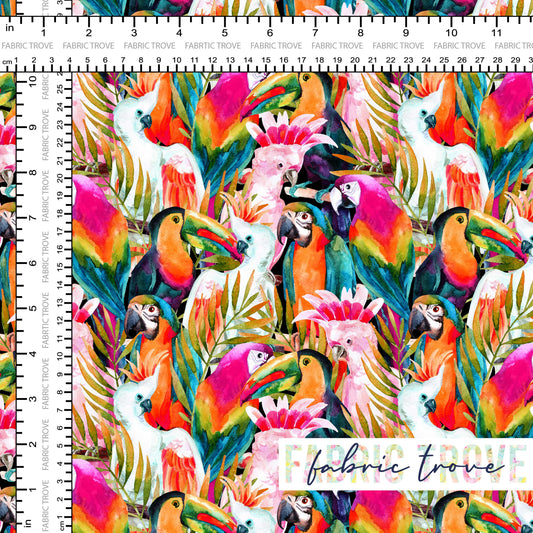 C100 - Tropical Flocks