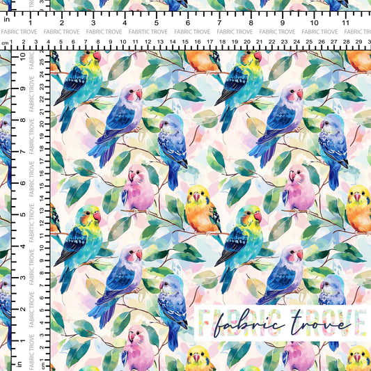 COTTON 100 - Wild Budgies