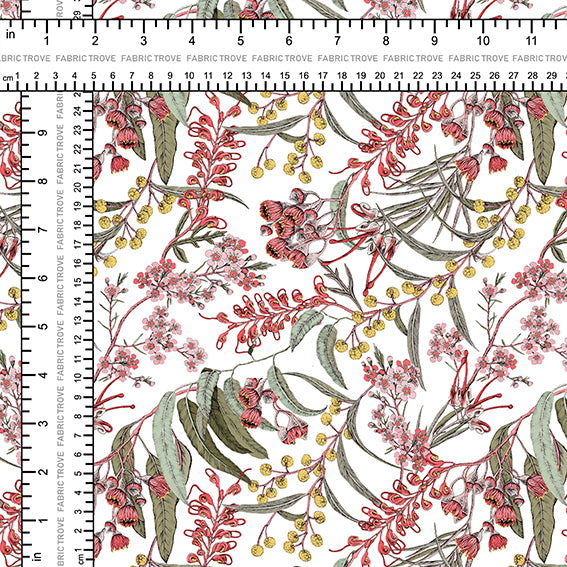 COTTON 100 - Australis Noel