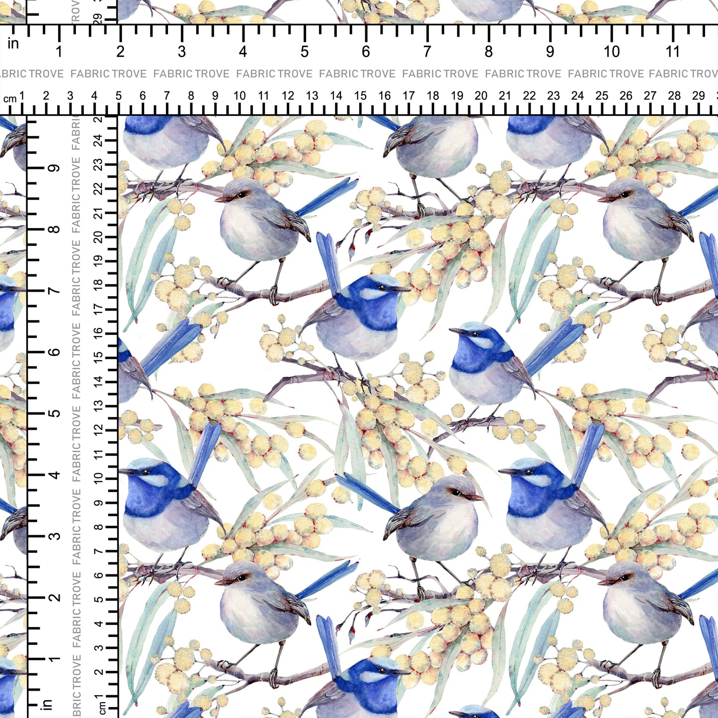 C100 - Blue Wren Dreams White