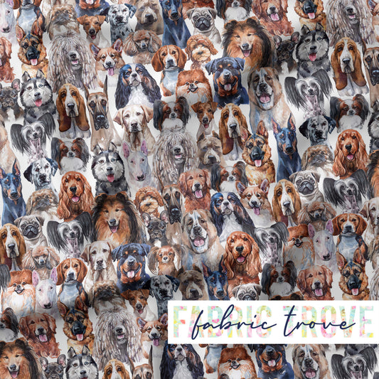 PO #56 - Canine Love