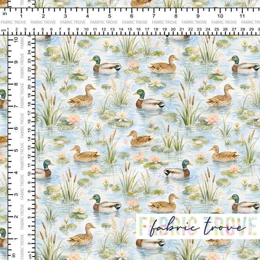 PO #56 - Duck Pond