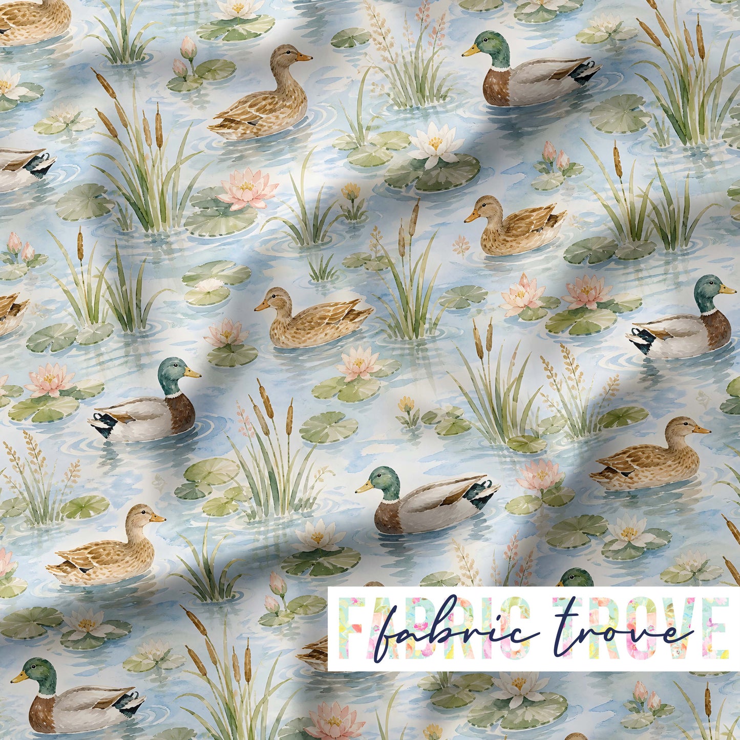 PO #56 - Duck Pond