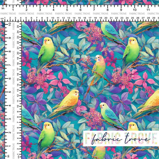 C100 - Ozzie Budgerigar