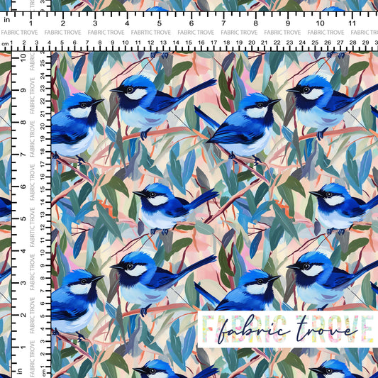 C100 - Splendid Wrens