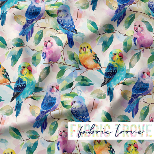 KNIT 95/5 - Wild Budgies